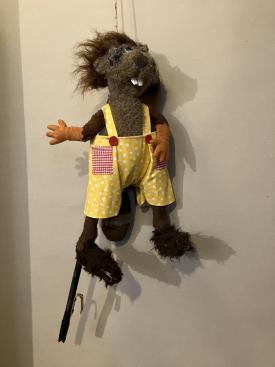 Raton laveur vêtu d'une salopette jaune