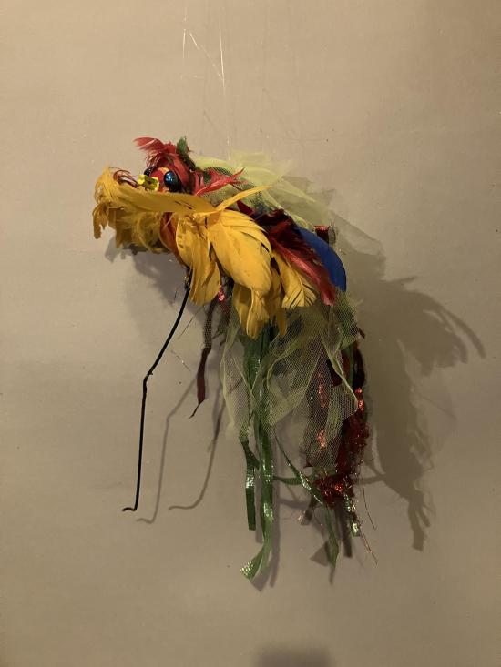 Oiseau jaune, bleu, rouge et vert