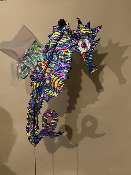 Hippocampe bariolé avec une crête verte